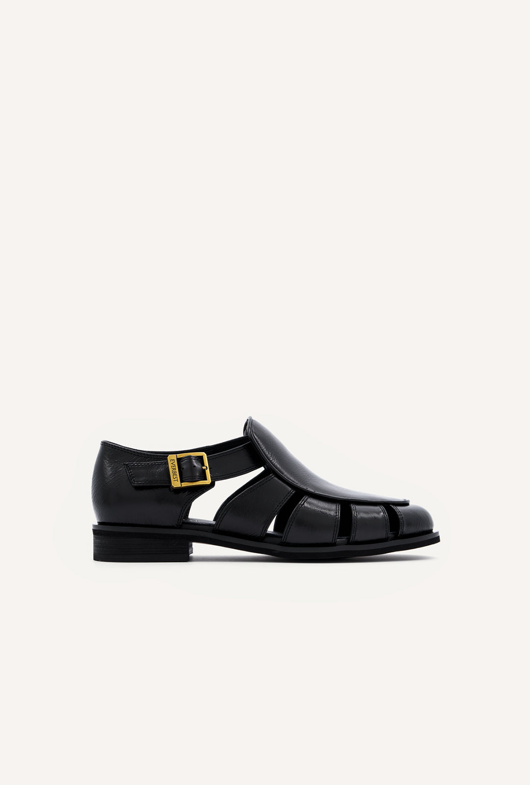 charcoal-black-1
