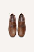 brown-1