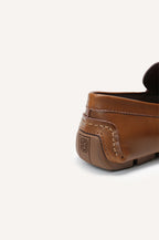 brown-1